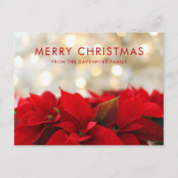 Red Poinsettias com Ouro Bokeh Natal