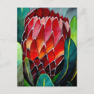 Cartão Postal Red Protea flor flor original de aquarela