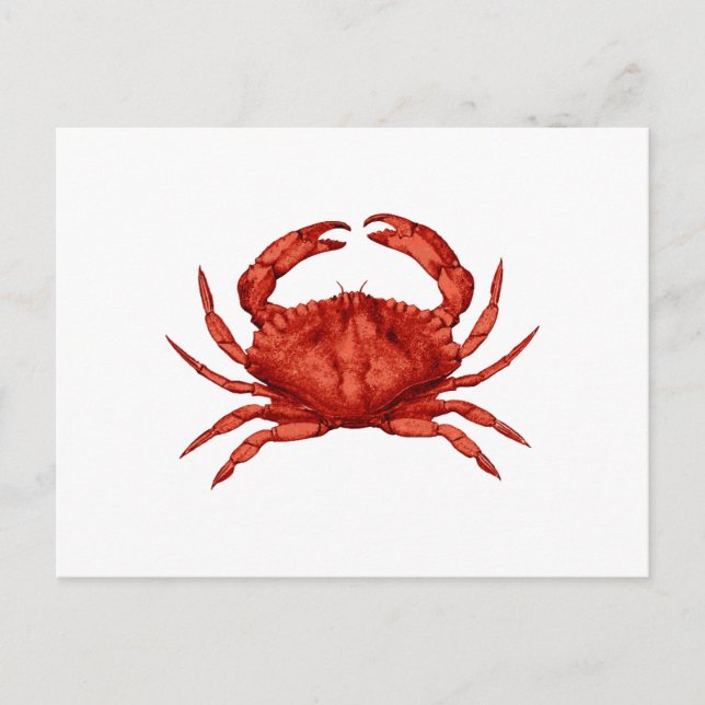 Cartão Postal Red Rock Crab (Pacífico) (Frente)