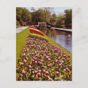 Cartão Postal Red Roundhay Park, Leeds, Inglaterra flores