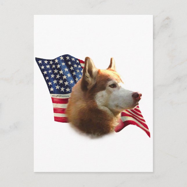 Cartão Postal Red Siberian Husky Flag (Frente)
