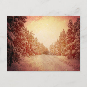 Cartão Postal Red Snowy Road, Conifer, CO