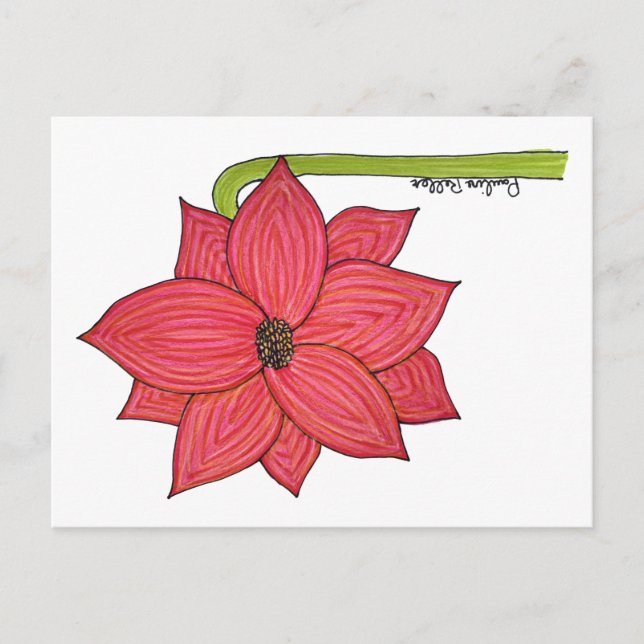 Cartão Postal Red Star Flower Postcard (Frente)