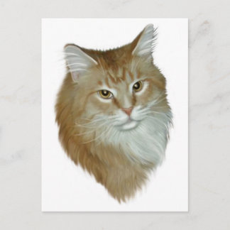 Cartão Postal Red Tabby Maine Coon