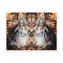 Red Tailed Hawk Dobrado