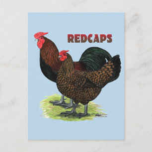 Cartão Postal Redcaps Ingleses