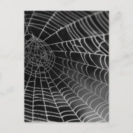 Cartão Postal Rede de aranha com miçangas de água