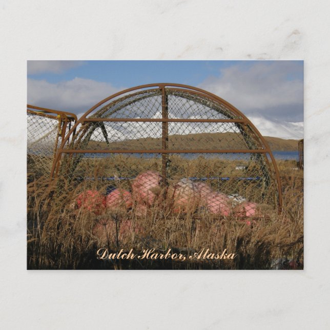 Cartão Postal Redondo Rei Caranguejo, Porto Holandês, Alasca (Frente)