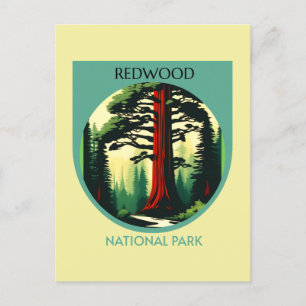 Cartão Postal Redwood National Park Beauty na Califórnia