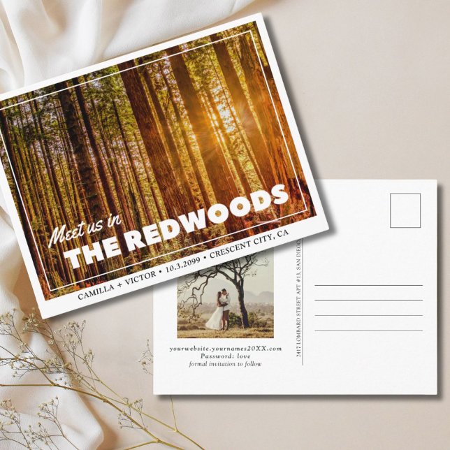 Cartão Postal Redwoods Casando o Cartão-postal (redwoods national park wedding save the date)