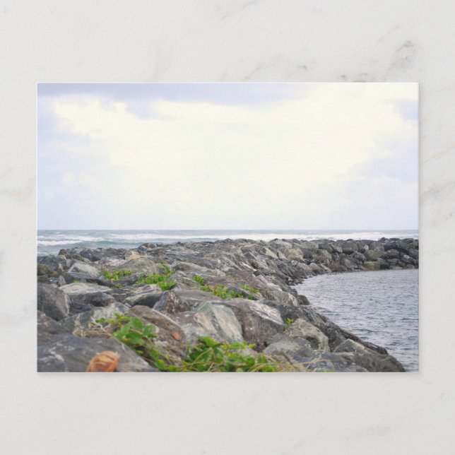 Cartão Postal Reef_Dorado PR (Frente)