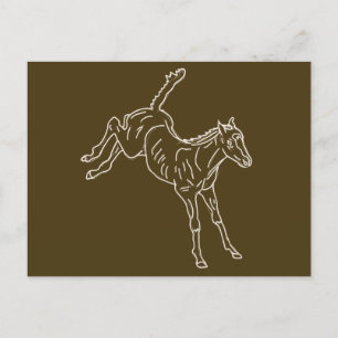 Cartão Postal Refeição de Cavalo - linha transparente.