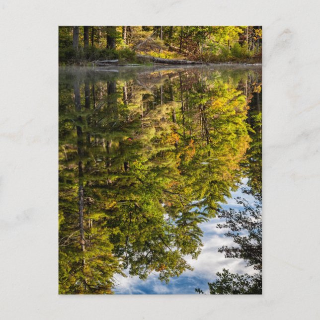 Cartão Postal Reflections in Red Eagle Pond | White Mountains (Frente)