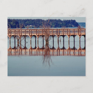 Cartão Postal Refletindo Juntos