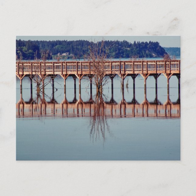 Cartão Postal Refletindo Juntos (Frente)