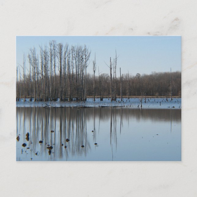 Cartão Postal Reflexão (Frente)