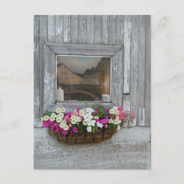 Cartão Postal Reflexão da Barn (Frente)