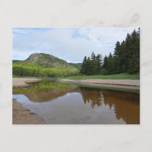 Cartão Postal Reflexão da Cabeça de excelente em Sand Beach