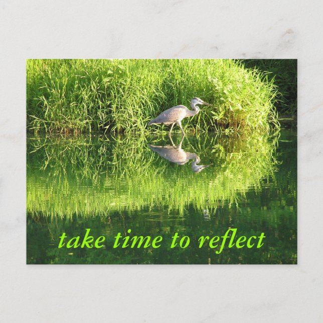 Cartão Postal Reflexão da grua (Frente)