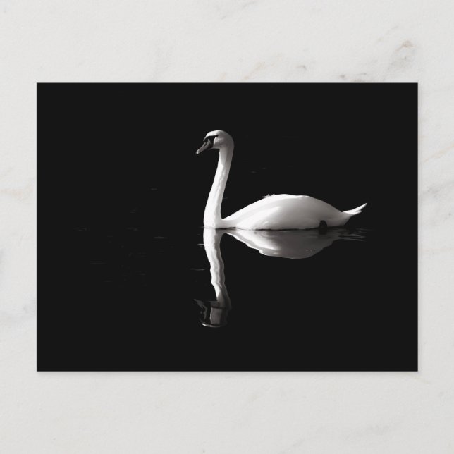 Cartão Postal Reflexão Do Cisne Branco Elegante No Lago Negro (Frente)