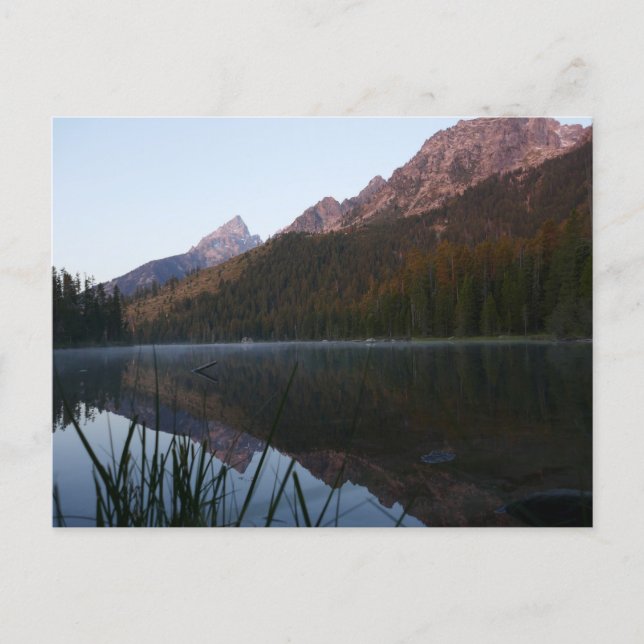 Cartão Postal Reflexão do nascer do sol no lago String I (Frente)