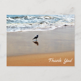 Cartão Postal Reflexão do Seagull, Areia e Praia do Oceano Obrig