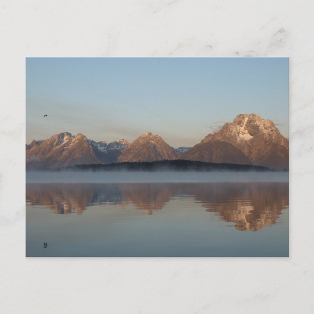 Cartão Postal Reflexão sobre Jackson Lake Dam em Grand Teton Par (Frente)