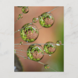 Cartão Postal Reflexo da Gota de Água