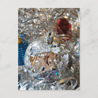 Cartão Postal Reflexo da Massa de Prata