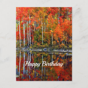 Cartão Postal Reflexo de árvores de outono laranja no aniversári