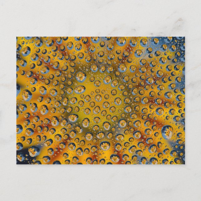 Cartão Postal Reflexo de Largura da flor, Crescent City, (Frente)