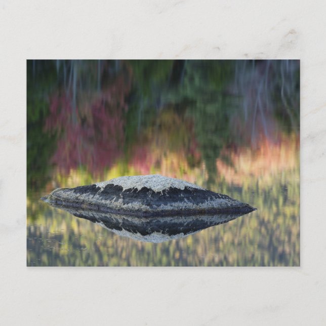 Cartão Postal Reflexo de rocha e árvore, Lily Pond, Branco (Frente)