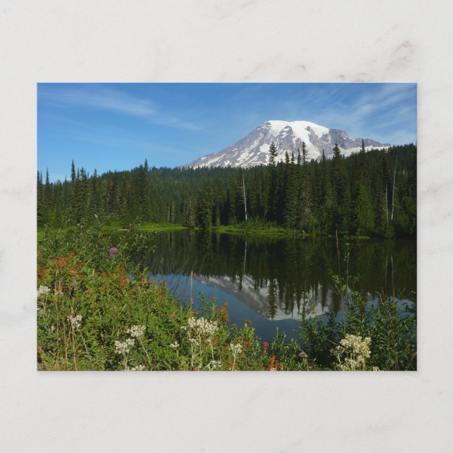 Cartão Postal Reflexo do Lago Monte Rainier com Flores Silvestre (Frente)