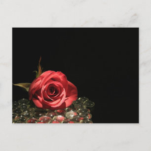 Cartão Postal Reflexões