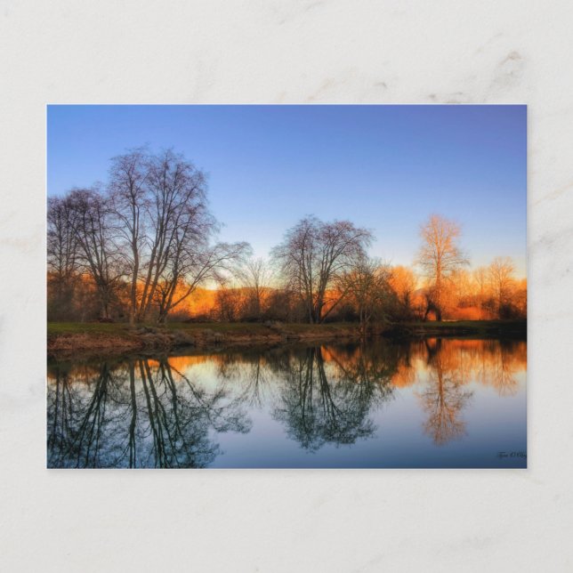 Cartão Postal Reflexões Da Solitude (Frente)