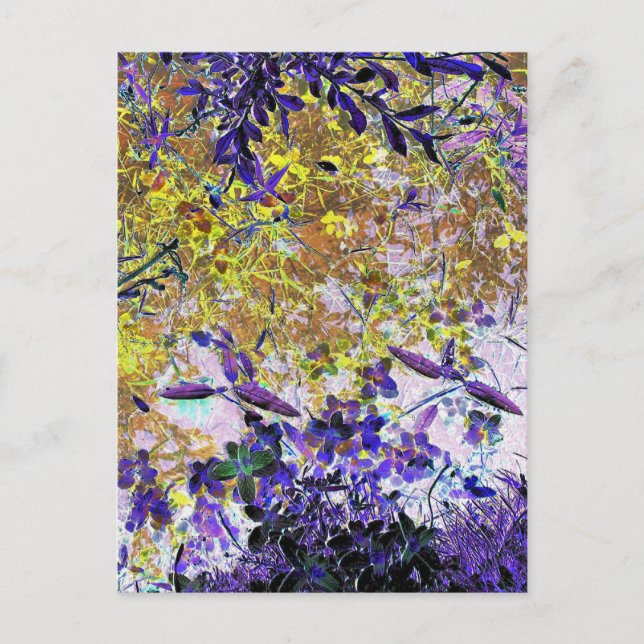 CARTÃO POSTAL REFLEXÕES DE ÁGUA (Frente)