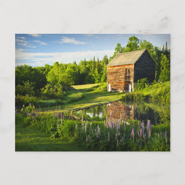 Cartão Postal Reflexões de primavera nos Adirondacks, N.Y. (Frente)