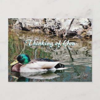 Cartão Postal Reflexões do Mallard Personalizar cartão-postal