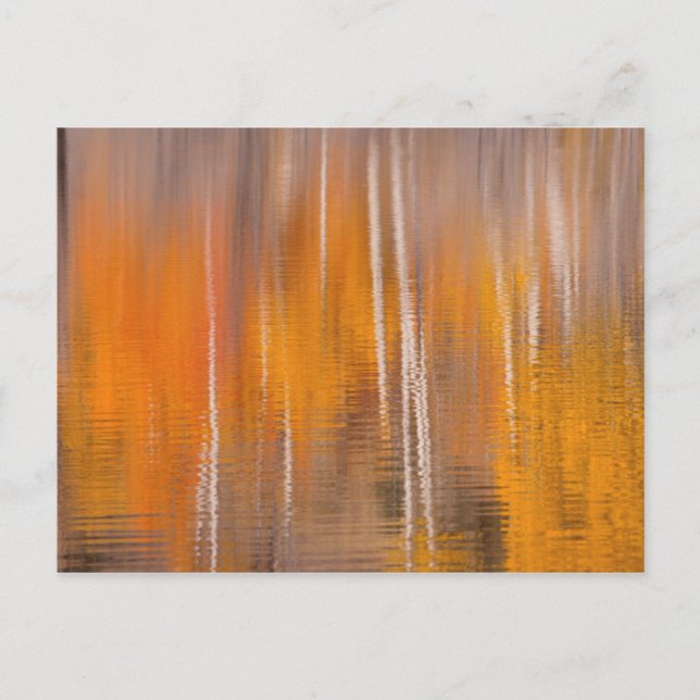 Cartão Postal Reflexões do outono em Beaver Pond | Winthrop, WA (Frente)