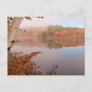 Cartão Postal Reflexões do outono para além do pássaro