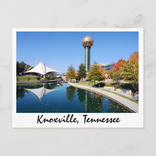 Cartão Postal Reflexões do Sol no outono (Frente)