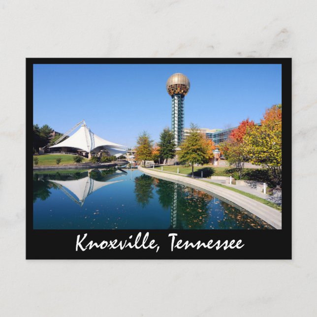 Cartão Postal Reflexões do Sol no outono (Frente)