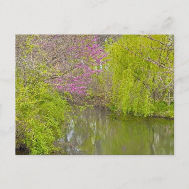 Cartão Postal Reflexões na Natureza (Frente)