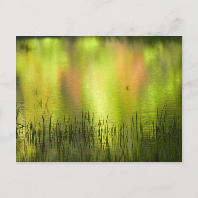 Cartão Postal Reflexões no lago Mirror | Yosemite (Frente)