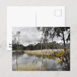 Cartão Postal Reflexões Por Baixo Do Céu Da Cinza