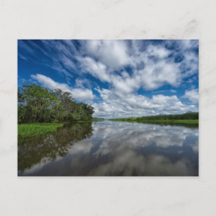 Cartão Postal Reflexões sobre a selva peruana