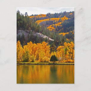 Cartão Postal Reflexões sobre o outono em Dolores