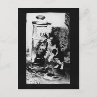 Cartão Postal Refrescando Gato na Fonte