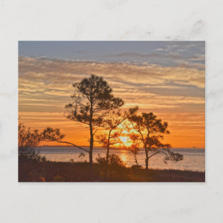 Cartão Postal Refúgio da Ilha Dauphin ao nascer do sol, Alabama
