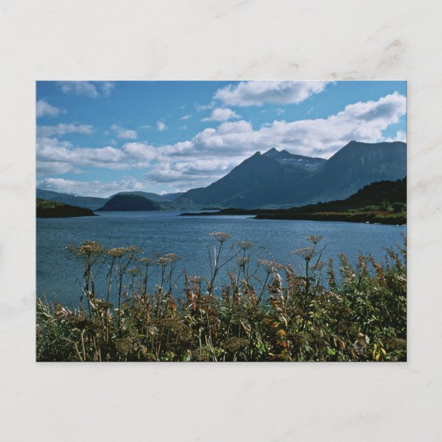 Cartão Postal Refúgio Nacional de Fauna Selvagem Kodiak (Frente)